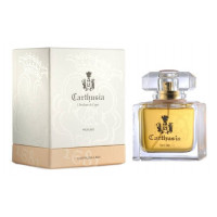 Carthusia Carthusia Lady
