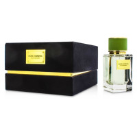 Dolce & Gabbana Velvet Bergamot