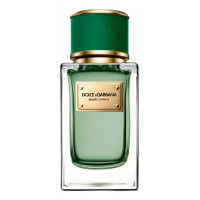 Dolce & Gabbana Velvet Cypress 