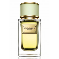 Dolce & Gabbana Velvet Pure