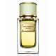 Dolce & Gabbana Velvet Pure