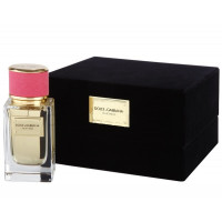 Dolce & Gabbana Velvet Rose