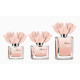 Blumarine Rosa