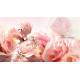 Blumarine Rosa