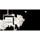 Chanel Les Exclusifs Gardenia Eau de Parfum