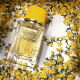 Dolce & Gabbana Velvet Mimosa Bloom