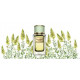 Dolce & Gabbana Velvet Pure
