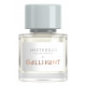 Gallivant Amsterdam