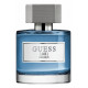 Guess Indigo 1981