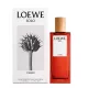 Loewe Solo Loewe Cedro
