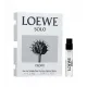 Loewe Solo Loewe Cedro