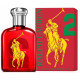 Ralph Lauren Big Pony 2